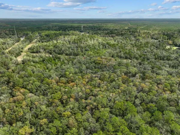 a view of a city with lush green forest