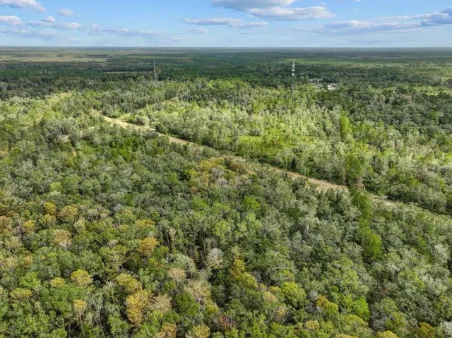 $799,000 | 310 North Otter Creek Avenue, Bronson, FL 32621