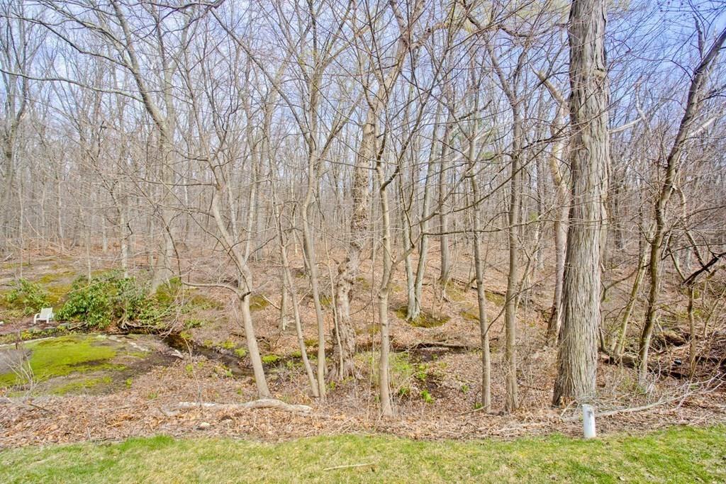 59 Robinson Road West Springfield, MA 01089 - Photo 40 of 40 Gallery Image 40