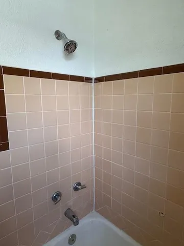 a bathroom with a shower and a bathtub