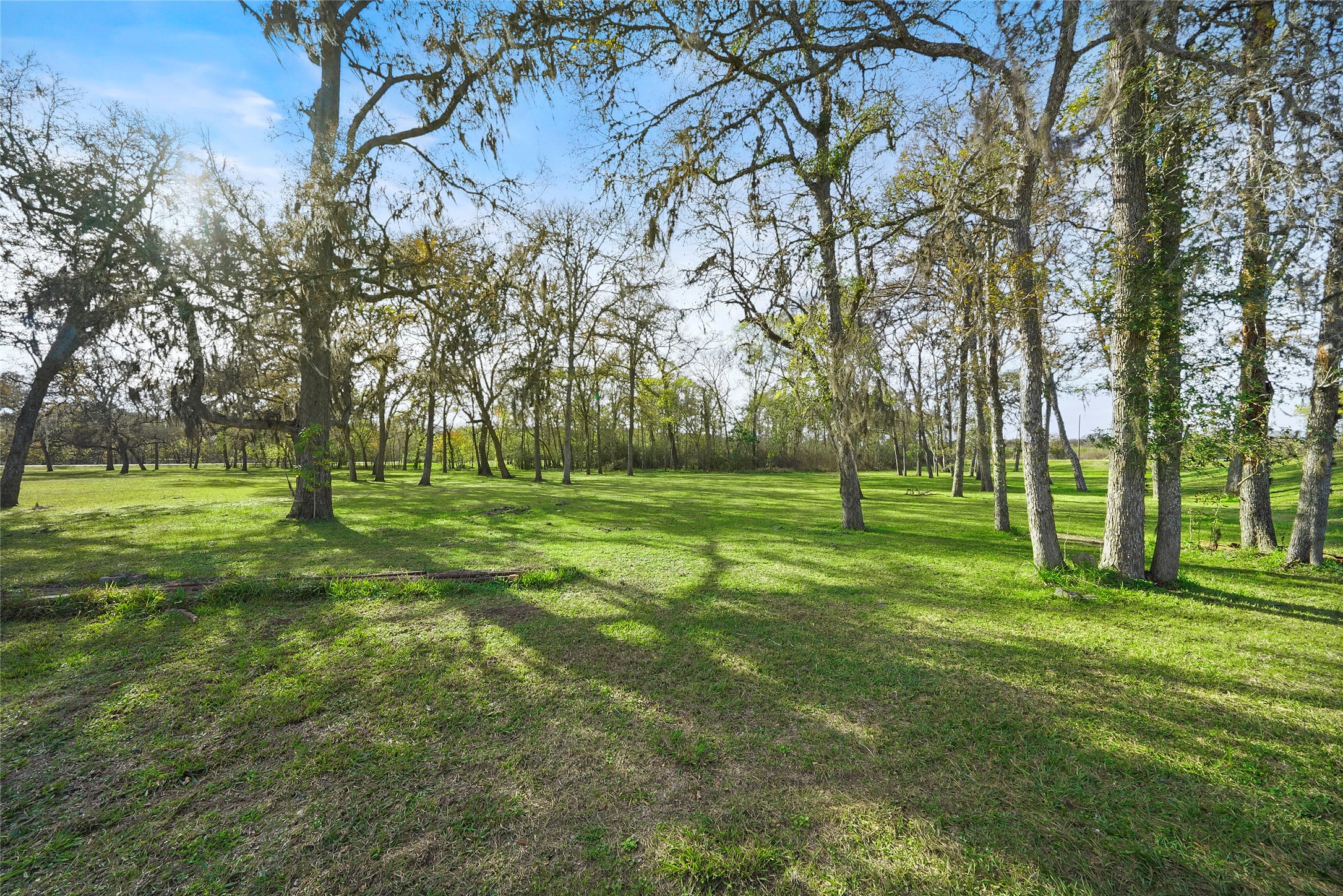 2759 FM 2759 Road Richmond, TX 77469 - Photo 3 of 13 a huge green field with lots of trees