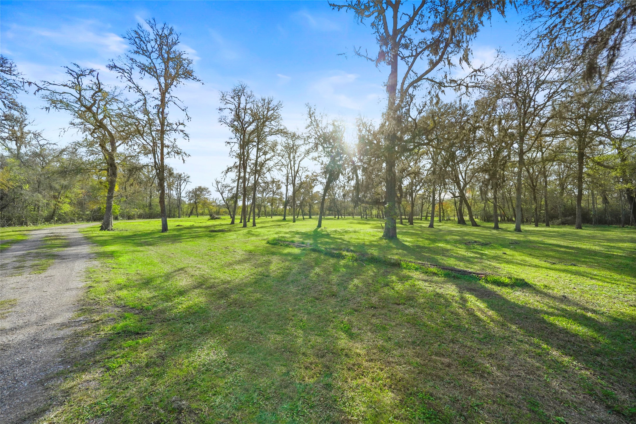 2759 FM 2759 Road Richmond, TX 77469 - Photo 4 of 13 a view of a park with large trees