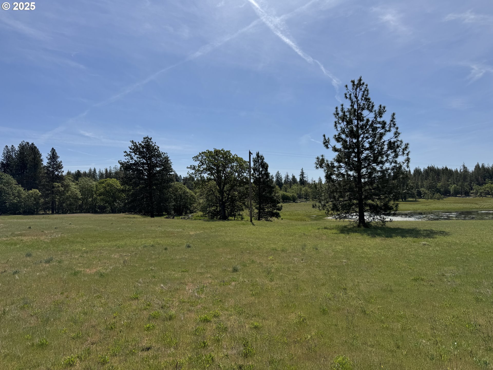 1924 Highway 97 Goldendale, WA 98620 - Photo 37 of 40 a view of a field with trees in the background