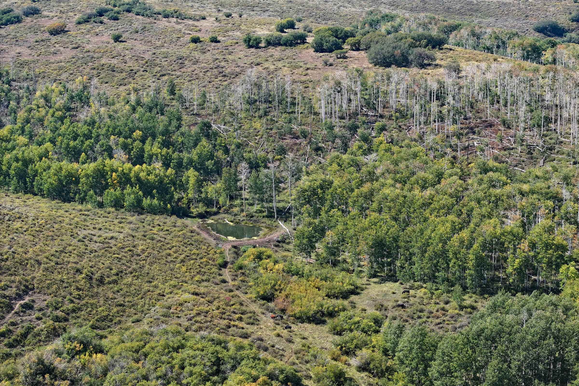 Tbd Divide Road, Unit ENTIRE PACKAGE Whitewater, CO 81527 - Photo 31 of 41