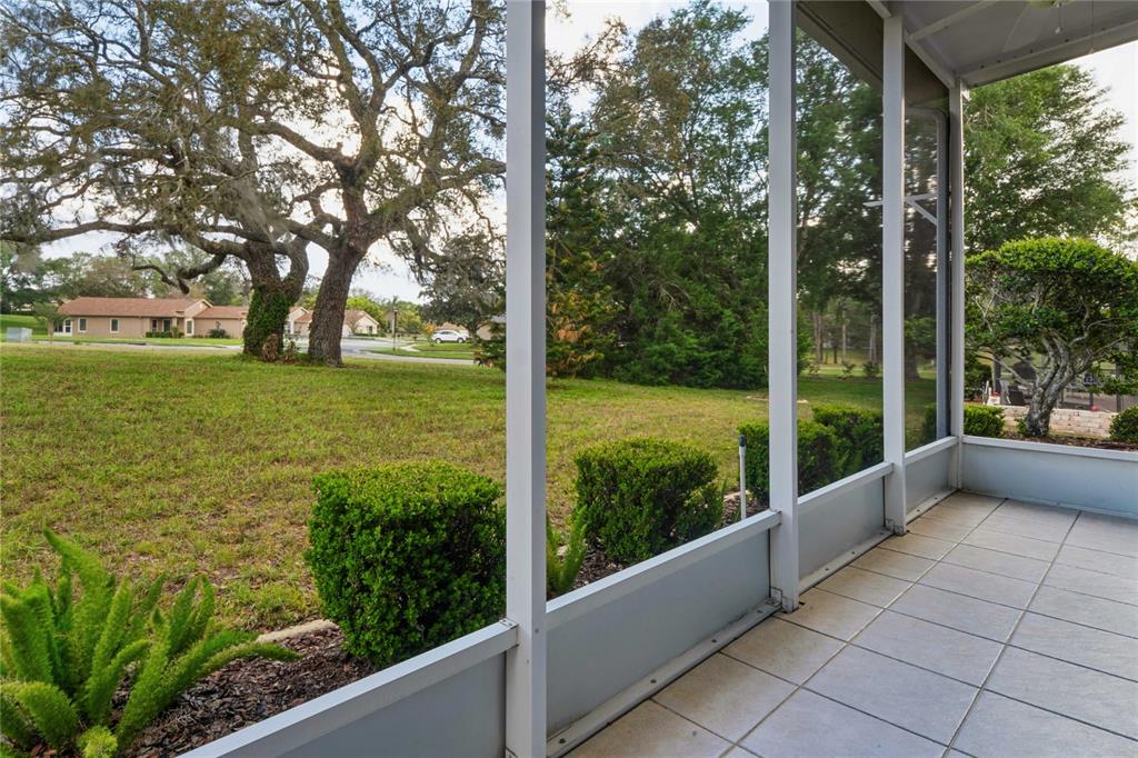 11330 Leeds Drive Spring Hill, FL 34609 - Photo 38 of 78 a view of backyard with large trees and plants