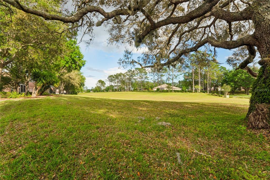 11330 Leeds Drive Spring Hill, FL 34609 - Photo 42 of 78