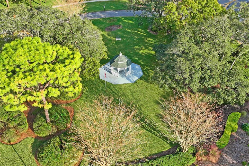 11330 Leeds Drive Spring Hill, FL 34609 - Photo 72 of 78 a backyard of a house with large trees and plants