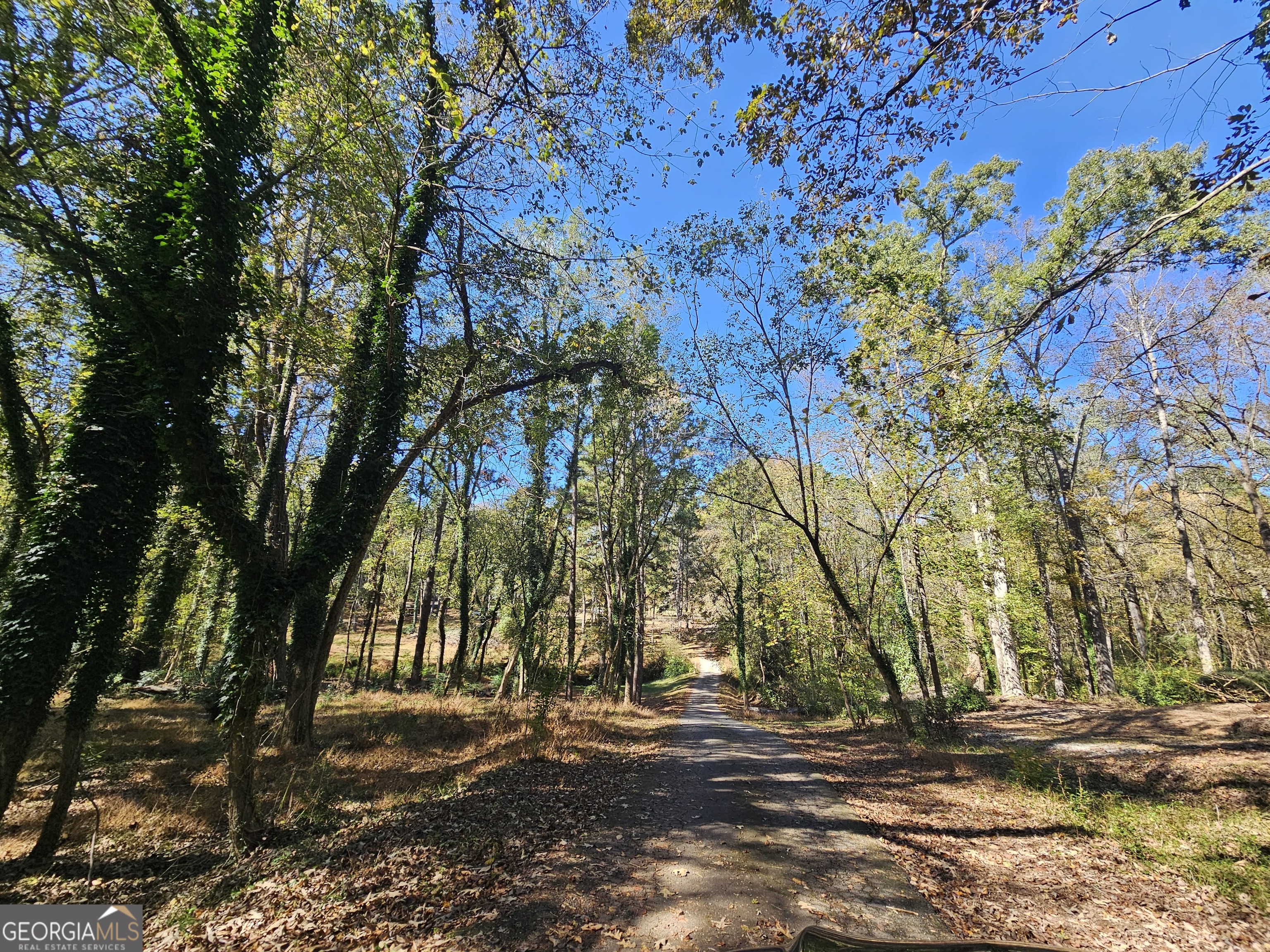 228 Honeysuckle Road Monticello, GA 31064 - Photo 2 of 35 a view of road with trees