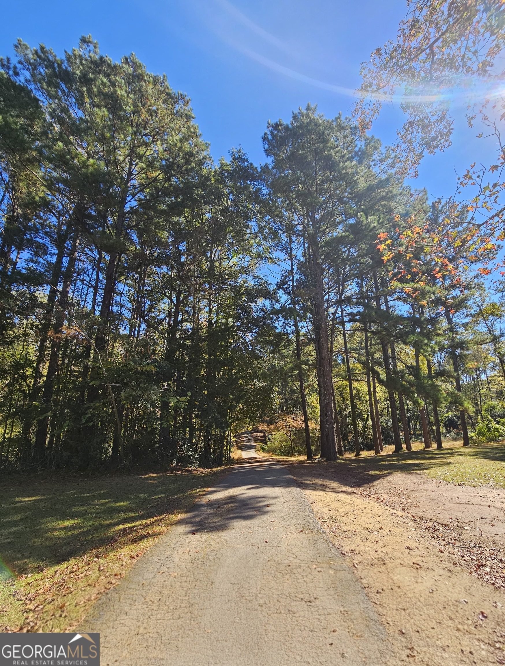 228 Honeysuckle Road Monticello, GA 31064 - Photo 3 of 35 a view of road and trees