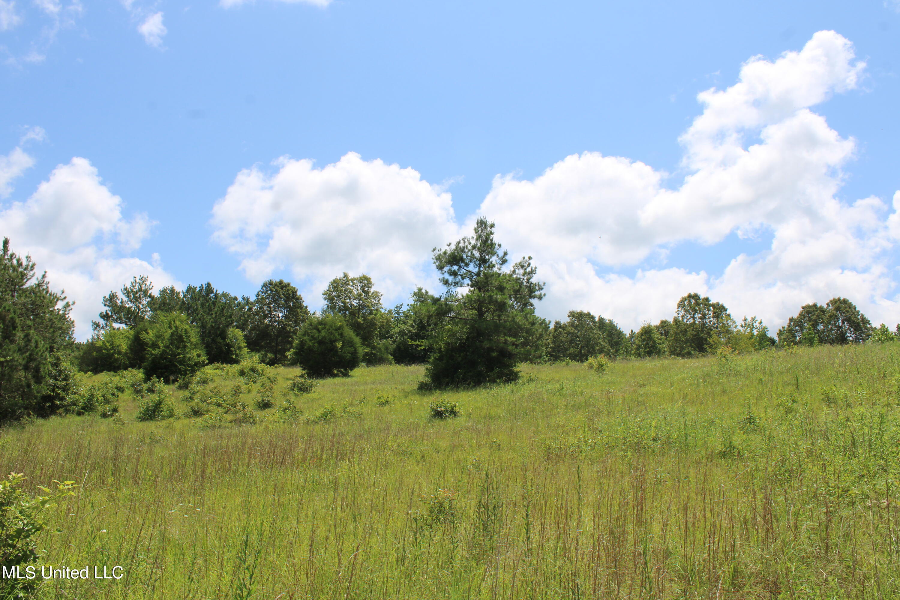 4801 Jason Patrick Road Holly Springs, MS 38635 - Photo 1 of 22 land