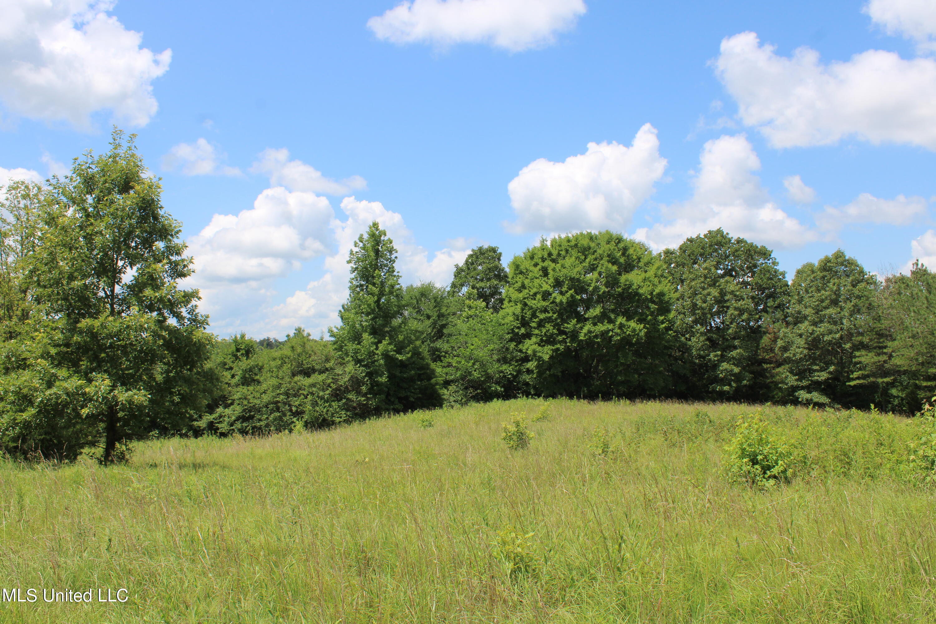 4801 Jason Patrick Road Holly Springs, MS 38635 - Photo 11 of 22 IMG_1494
