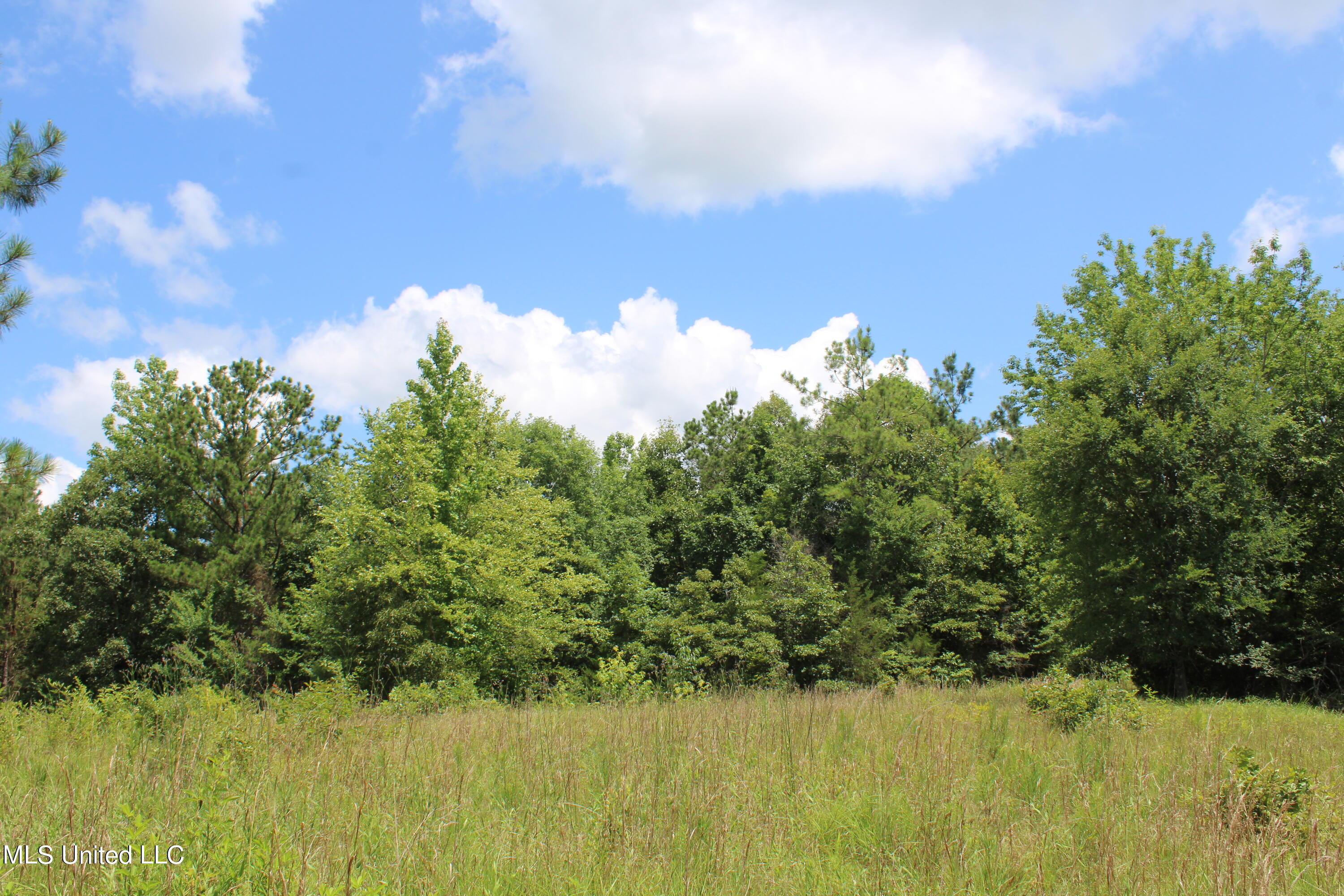 4801 Jason Patrick Road Holly Springs, MS 38635 - Photo 15 of 22 IMG_1499