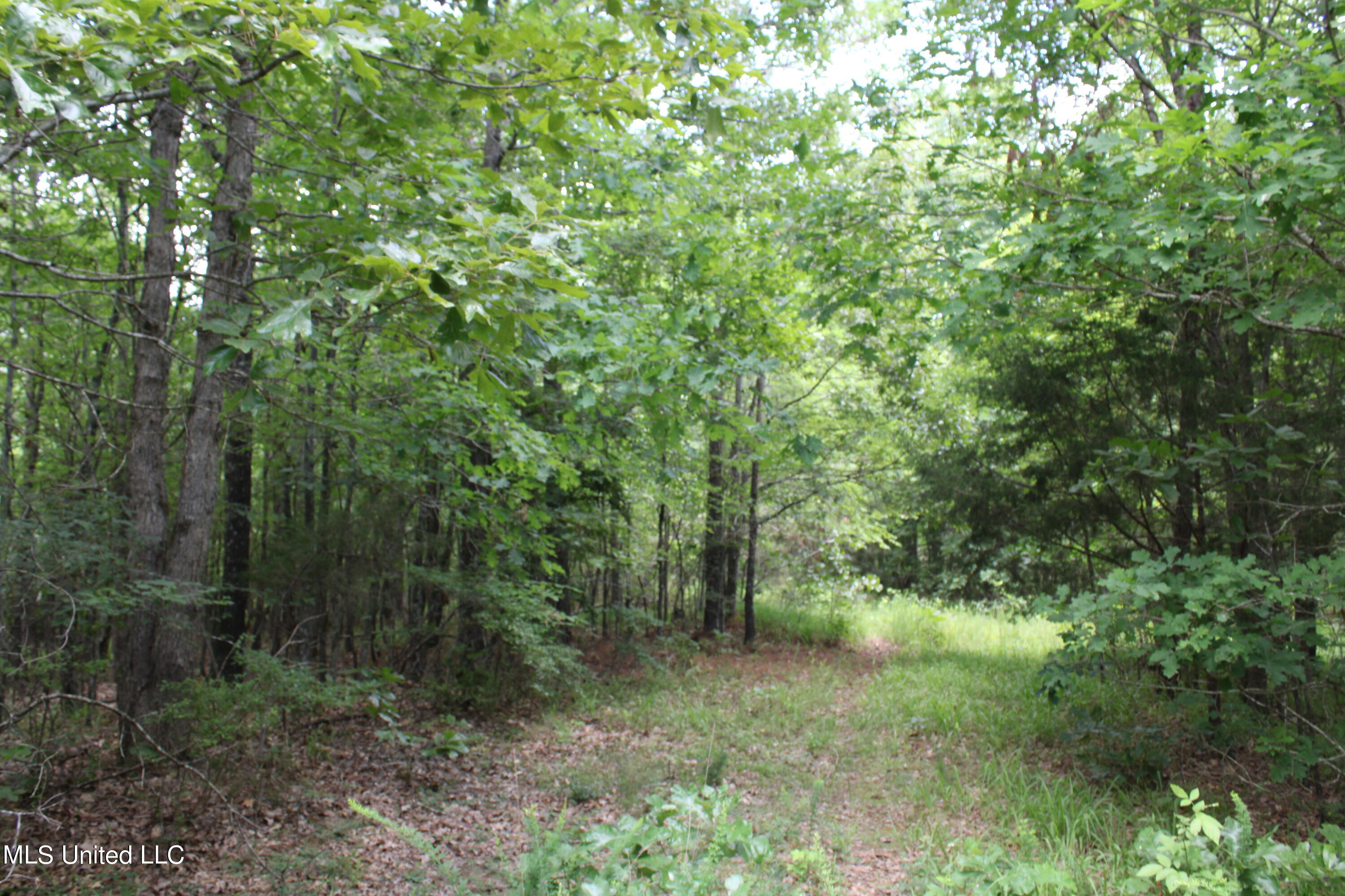 4801 Jason Patrick Road Holly Springs, MS 38635 - Photo 17 of 22 IMG_1503