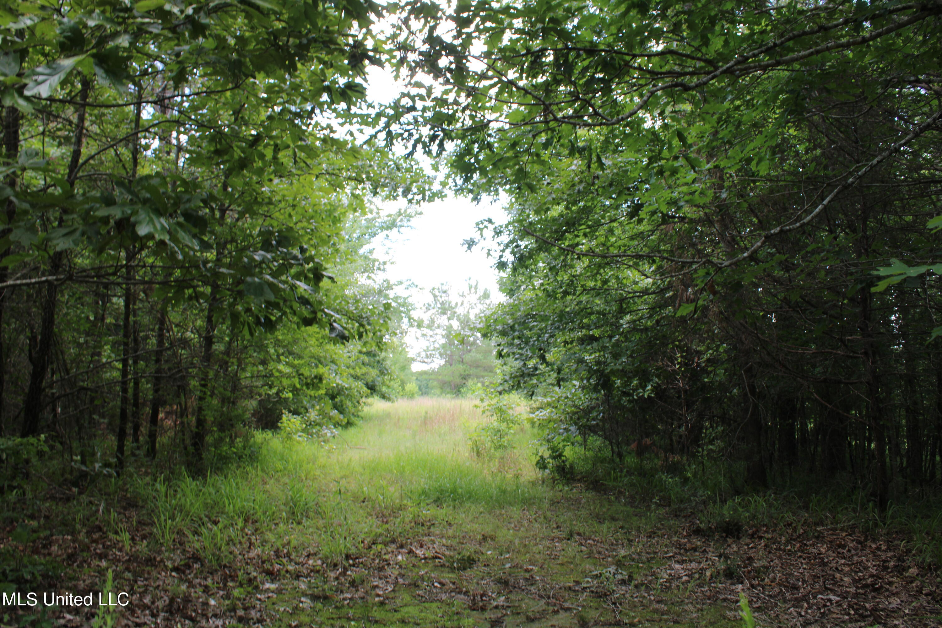 4801 Jason Patrick Road Holly Springs, MS 38635 - Photo 18 of 22 IMG_1504