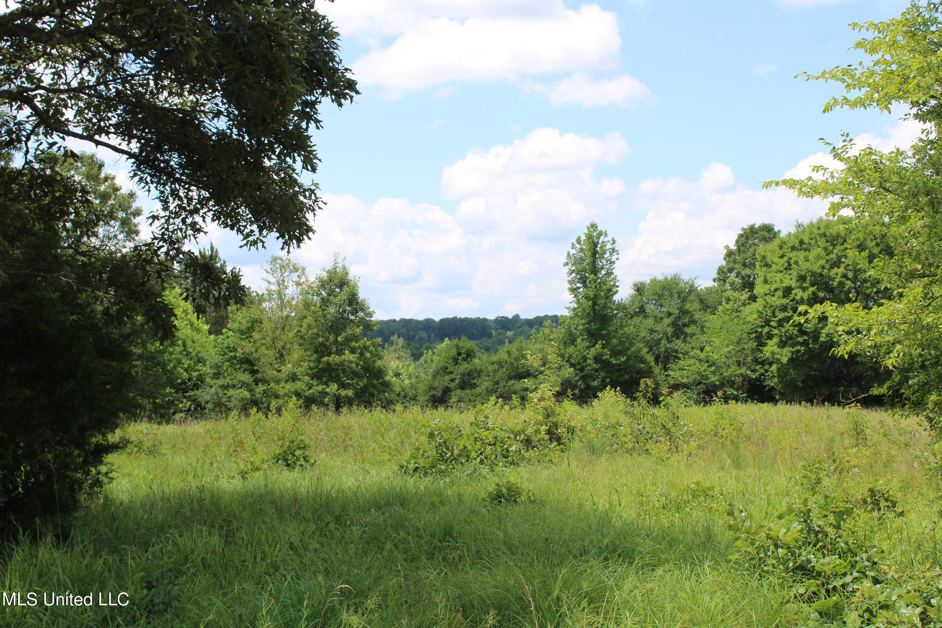 4801 Jason Patrick Road Holly Springs, MS 38635 - Photo 20 of 22 IMG_1506