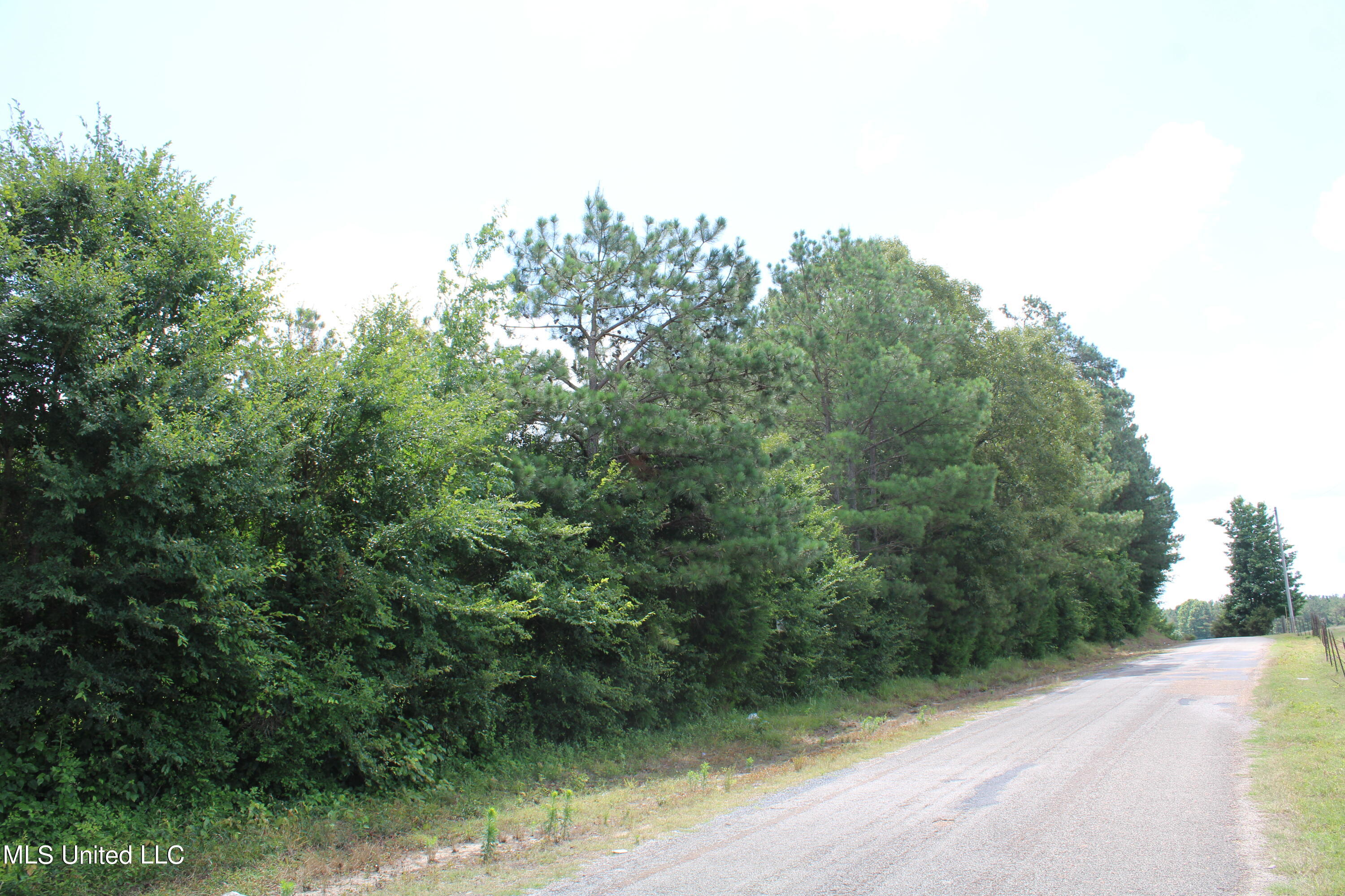 4801 Jason Patrick Road Holly Springs, MS 38635 - Photo 2 of 22 IMG_1484