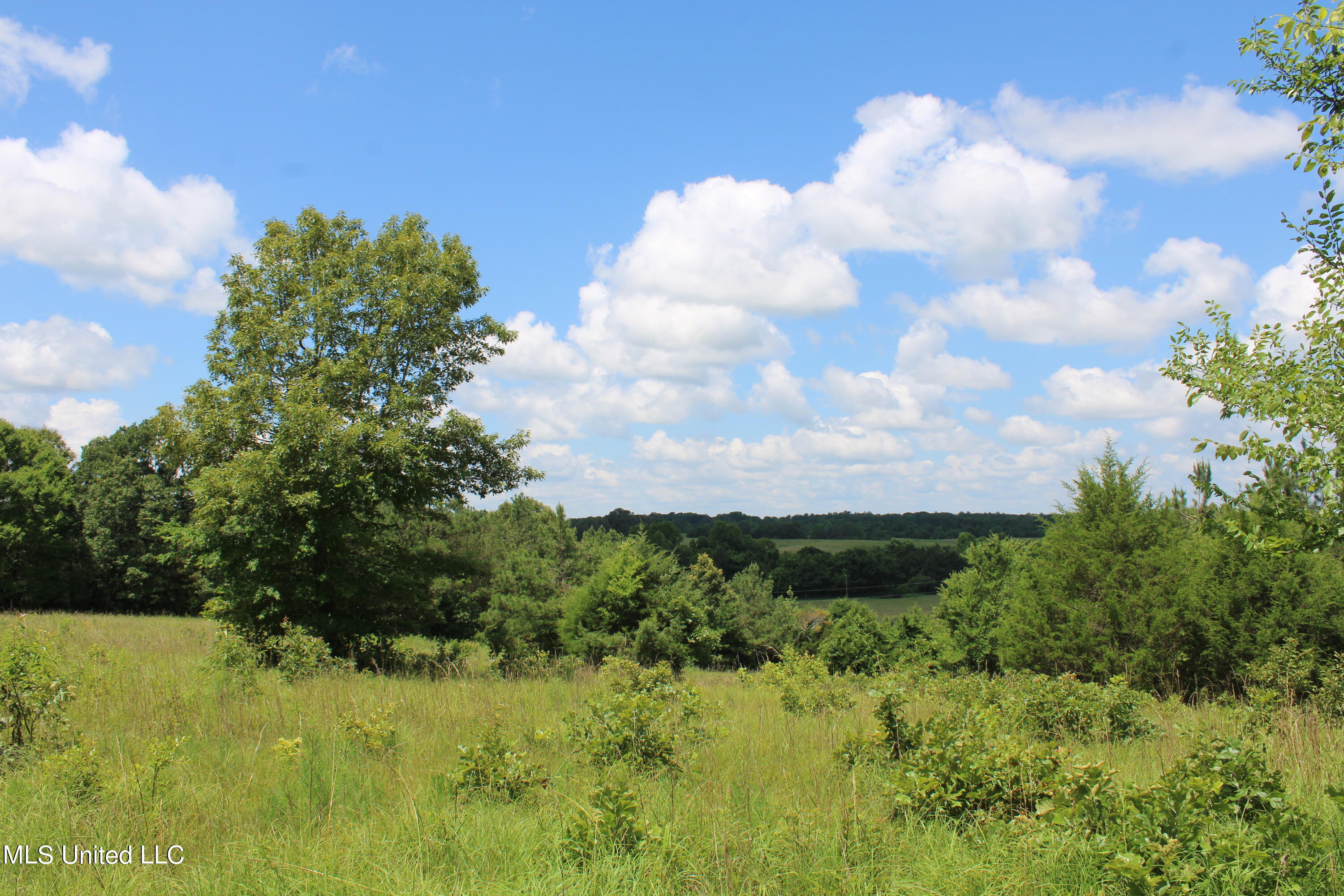 4801 Jason Patrick Road Holly Springs, MS 38635 - Photo 21 of 22 IMG_1507