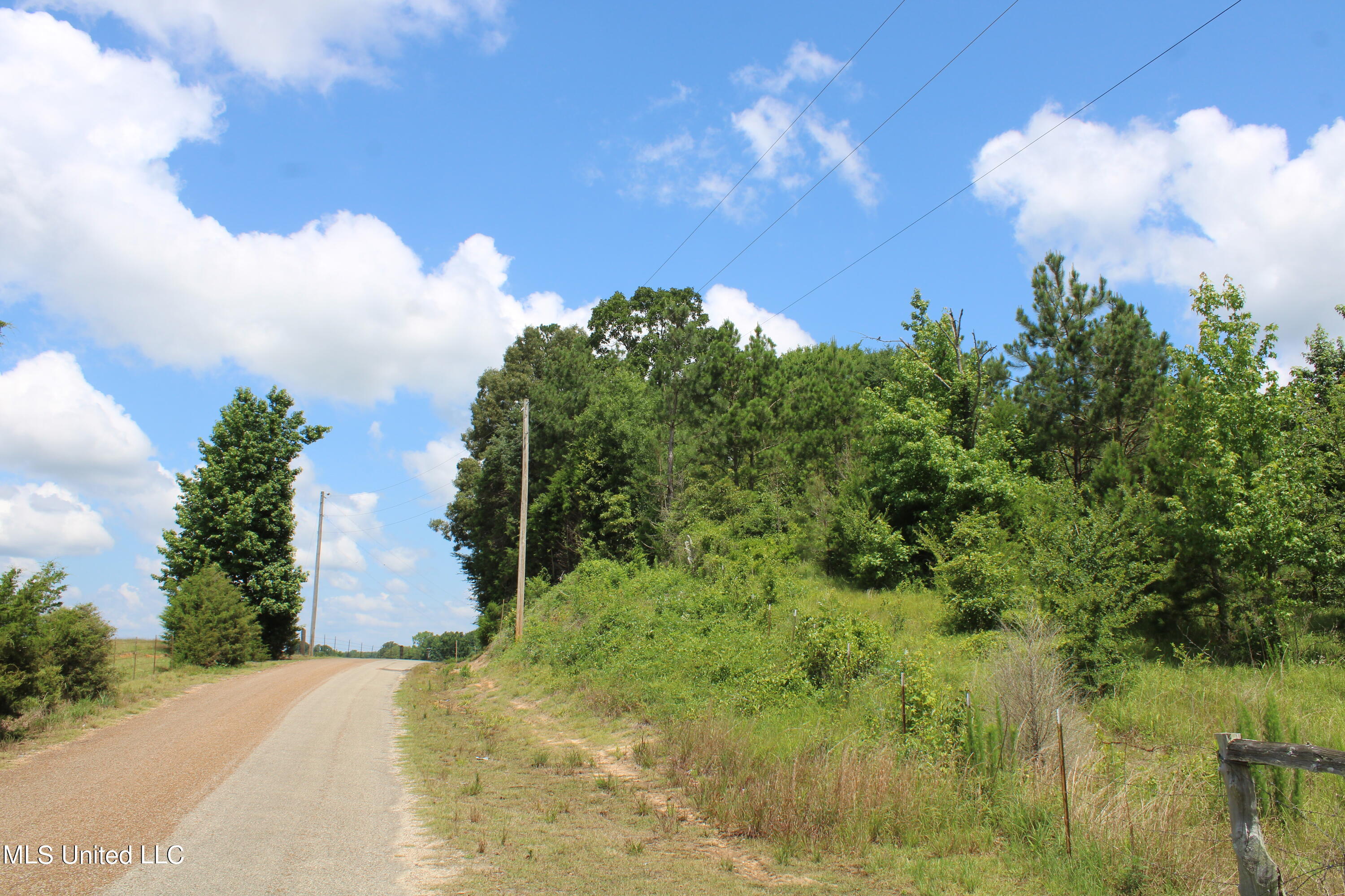 4801 Jason Patrick Road Holly Springs, MS 38635 - Photo 3 of 22 IMG_1485
