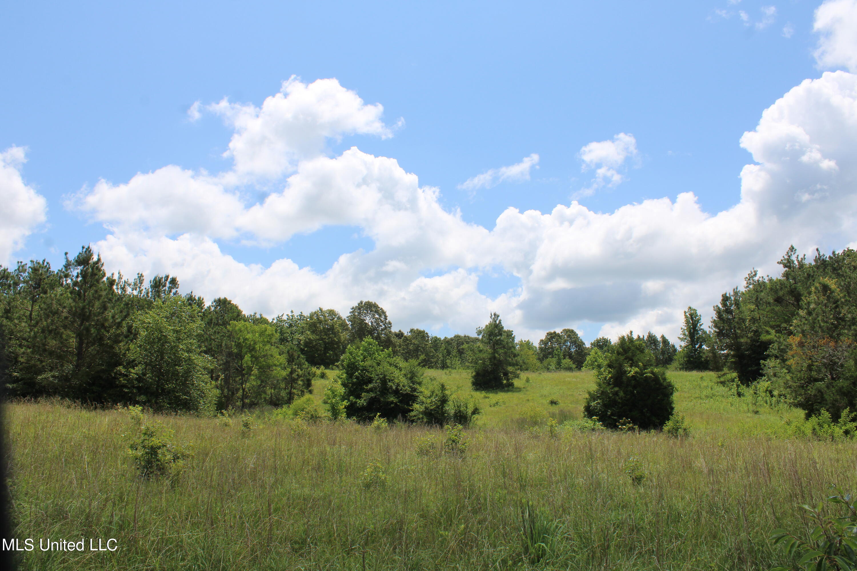 4801 Jason Patrick Road Holly Springs, MS 38635 - Photo 4 of 22 IMG_1486