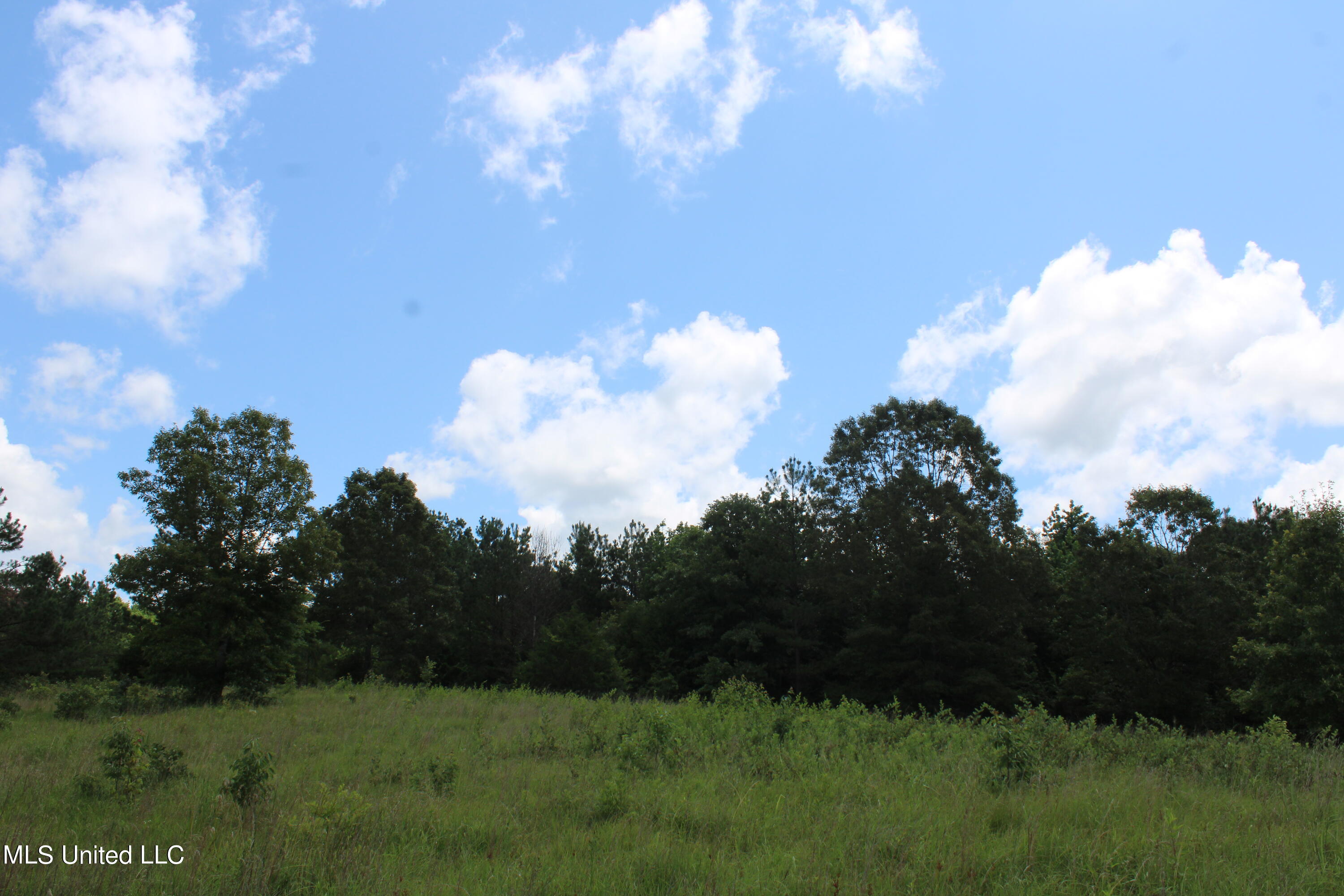 4801 Jason Patrick Road Holly Springs, MS 38635 - Photo 5 of 22 IMG_1488