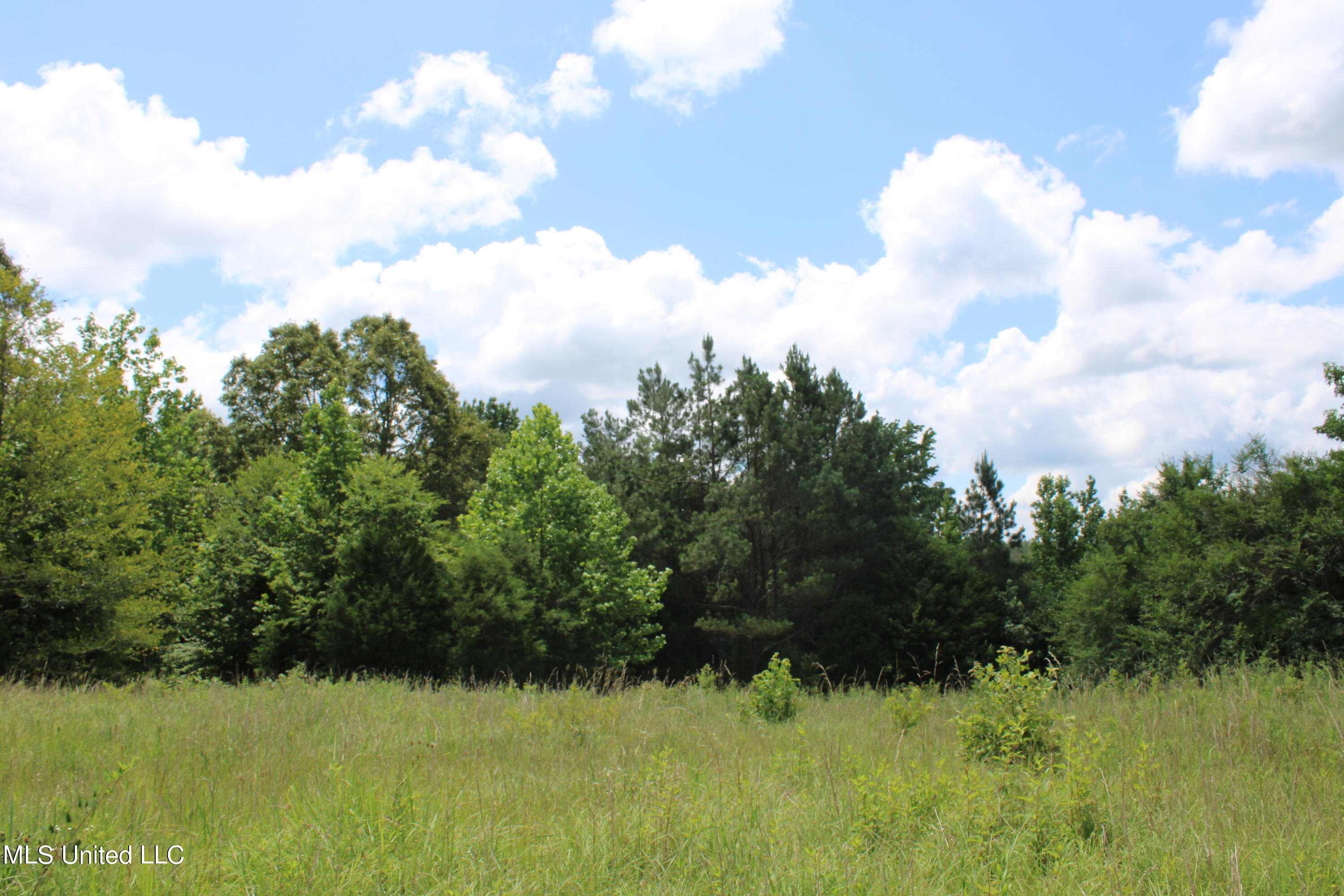 4801 Jason Patrick Road Holly Springs, MS 38635 - Photo 7 of 22 IMG_1490