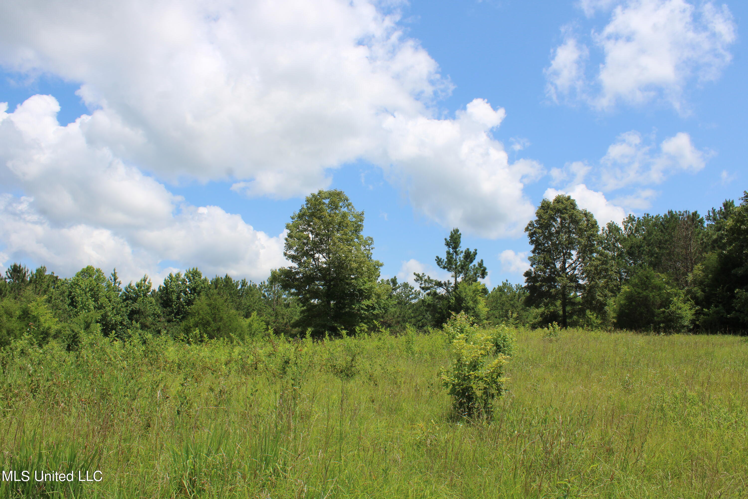4801 Jason Patrick Road Holly Springs, MS 38635 - Photo 8 of 22 IMG_1491