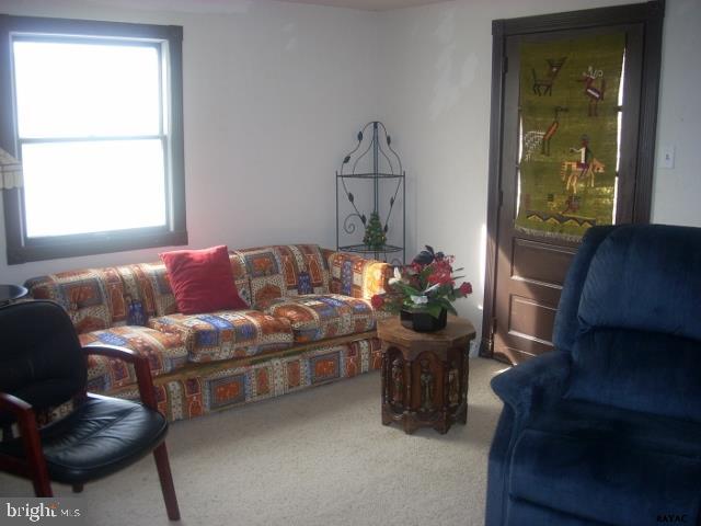 5770 Mountain Road Dover, PA 17315 - Photo 32 of 36 Gallery Image 32
