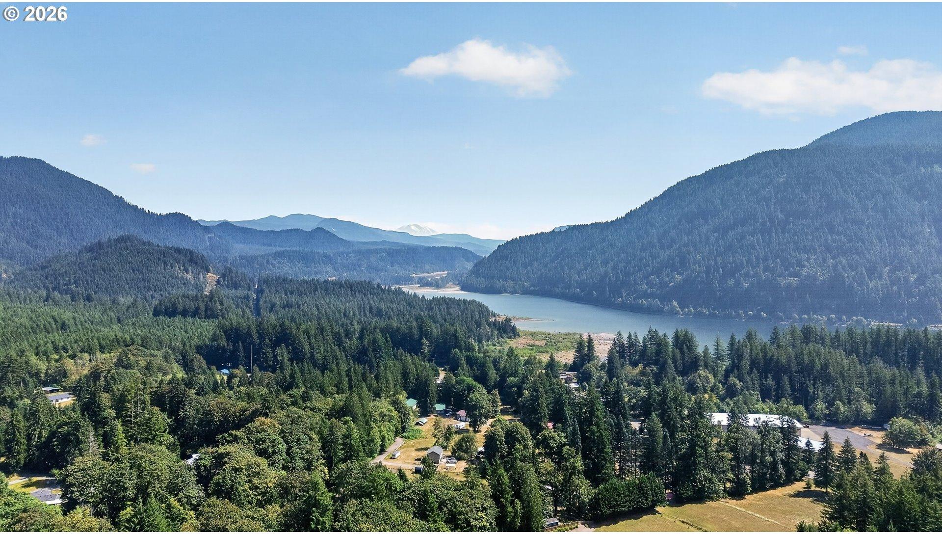0 Dog Creek Road Cougar, WA 98616 - Photo 15 of 17 Gallery Image 15