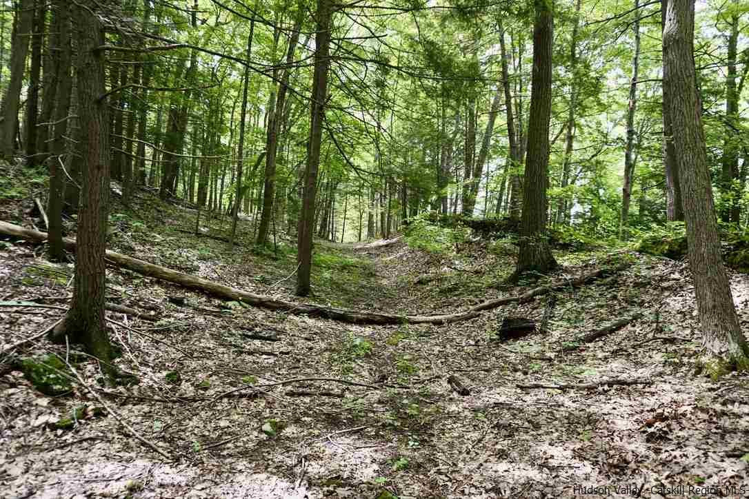 15 Arrowhead Rdg Road Saugerties, NY 12477 - Photo 7 of 22 Photo 7