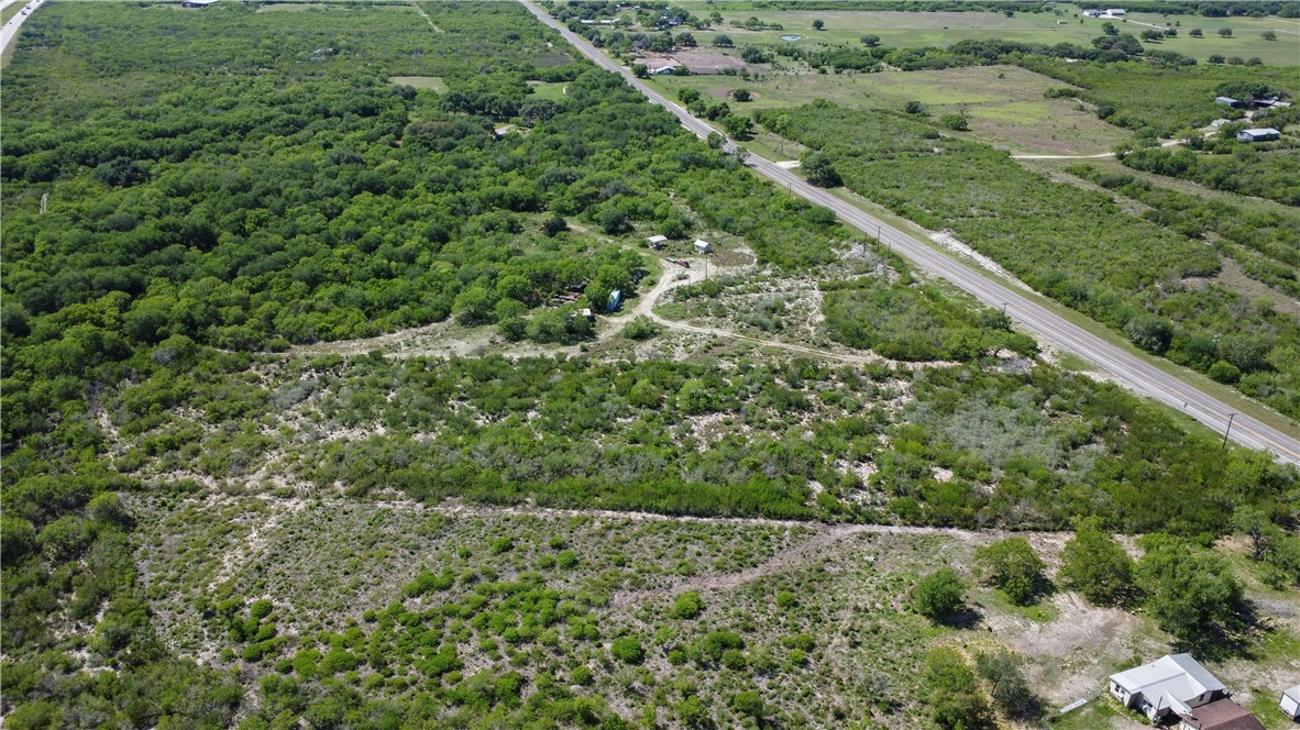 906 Fm 3024 Mathis, TX 78380 - Photo 18 of 25 a view of a lush green forest with a lush green forest