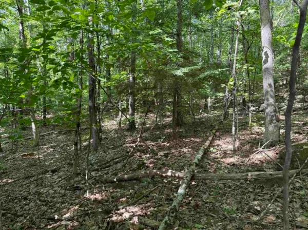 $95,000 | 10 Lots 154 155 156 New Hampshire Drive, Webster, NH 03303