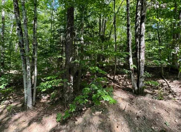 $95,000 | 10 Lots 154 155 156 New Hampshire Drive, Webster, NH 03303
