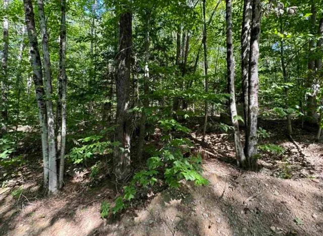 $95,000 | 10 Lots 154 155 156 New Hampshire Drive, Webster, NH 03303
