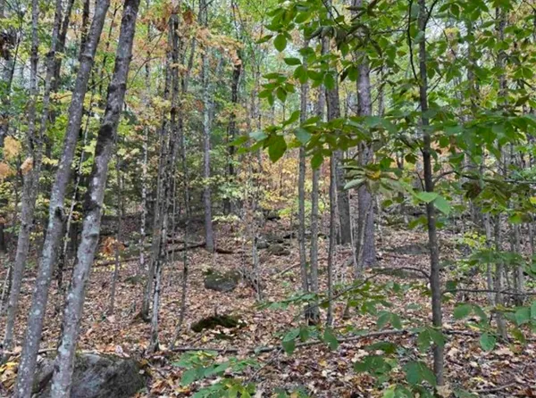 $95,000 | 10 Lots 154 155 156 New Hampshire Drive, Webster, NH 03303