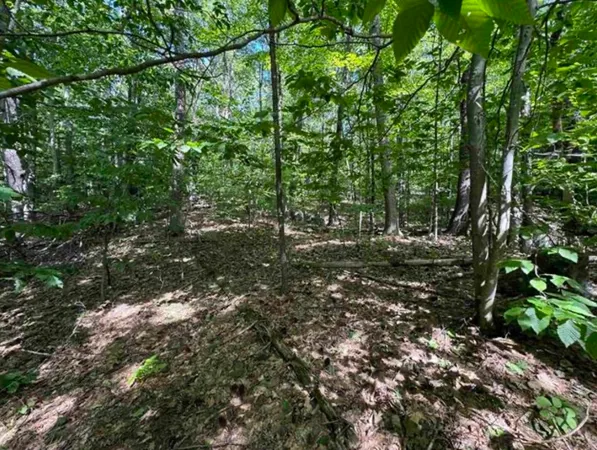 $95,000 | 10 Lots 154 155 156 New Hampshire Drive, Webster, NH 03303
