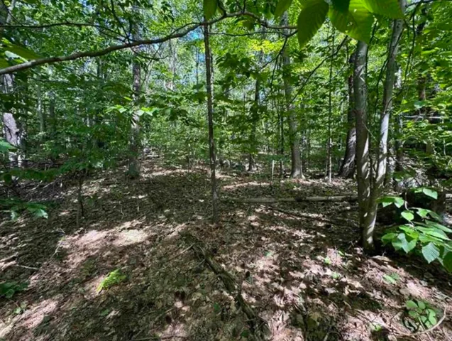$95,000 | 10 Lots 154 155 156 New Hampshire Drive, Webster, NH 03303