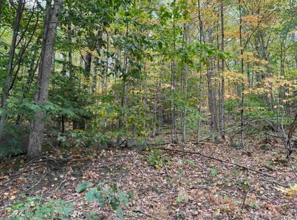 $95,000 | 10 Lots 154 155 156 New Hampshire Drive, Webster, NH 03303