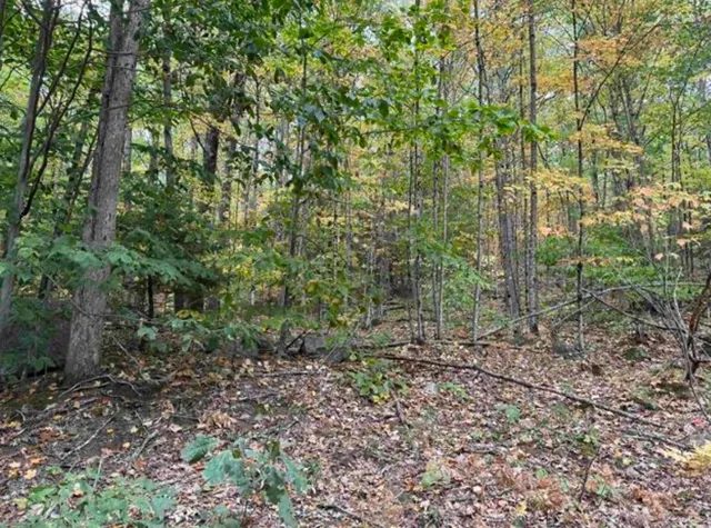 $95,000 | 10 Lots 154 155 156 New Hampshire Drive, Webster, NH 03303