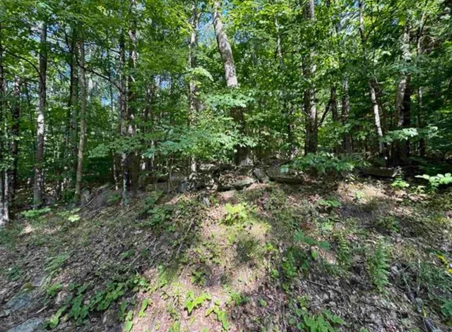 $95,000 | 10 Lots 154 155 156 New Hampshire Drive, Webster, NH 03303