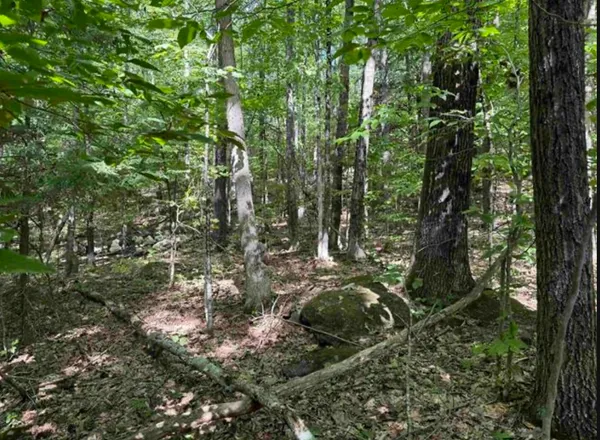$95,000 | 10 Lots 154 155 156 New Hampshire Drive, Webster, NH 03303