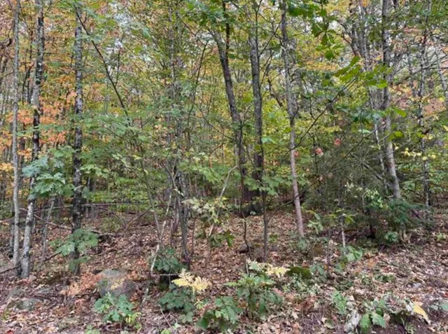 $95,000 | 10 Lots 154 155 156 New Hampshire Drive, Webster, NH 03303