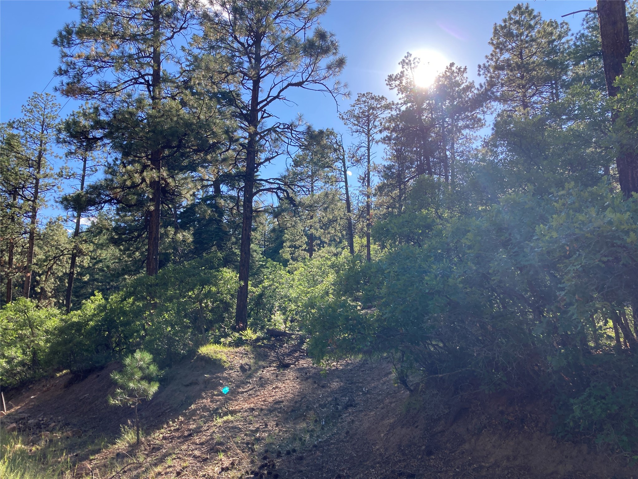 Tbd Serenity Road Chama, NM 87520 - Photo 18 of 20