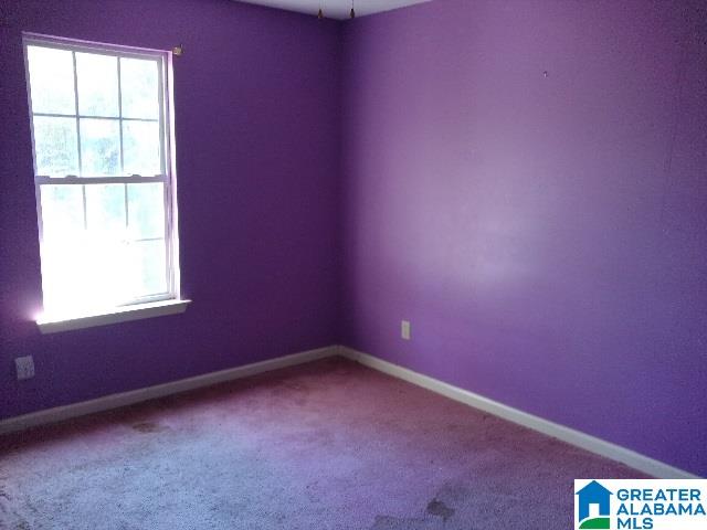 1000 Nottingham Road Alpine, AL 35014 - Photo 6 of 9