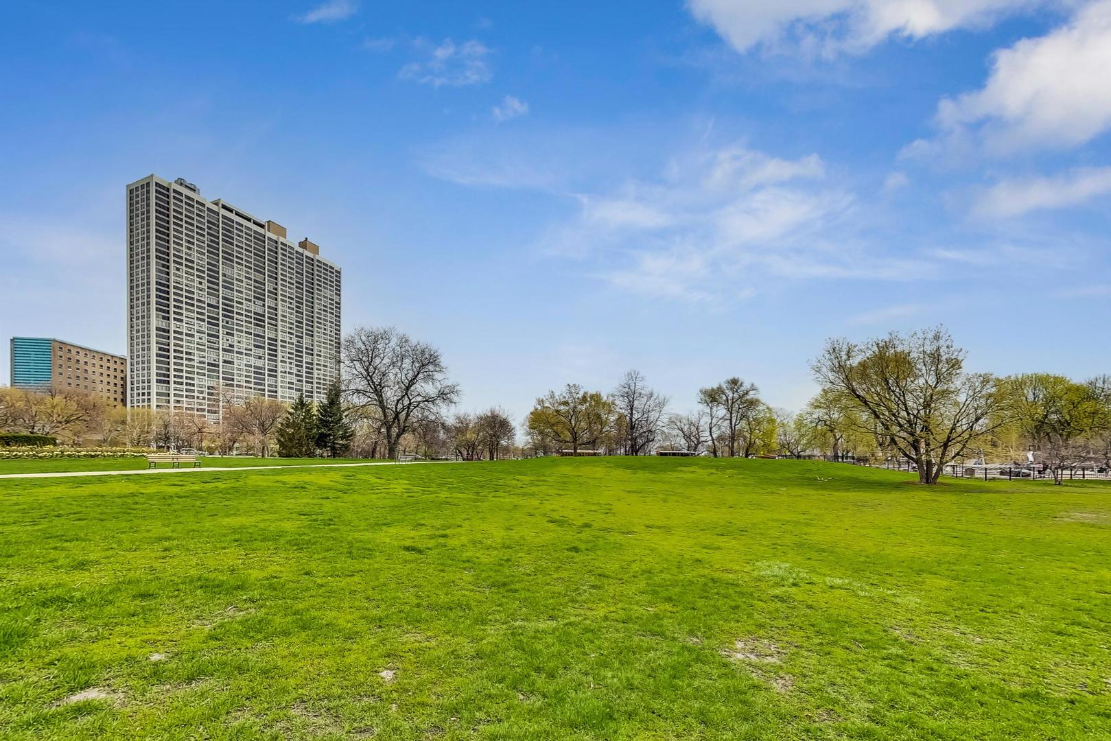 2800 North Lake Shore Drive, Unit 4216 Chicago, IL 60657 - Photo 29 of 29 a view of a grassy field with an trees in the background