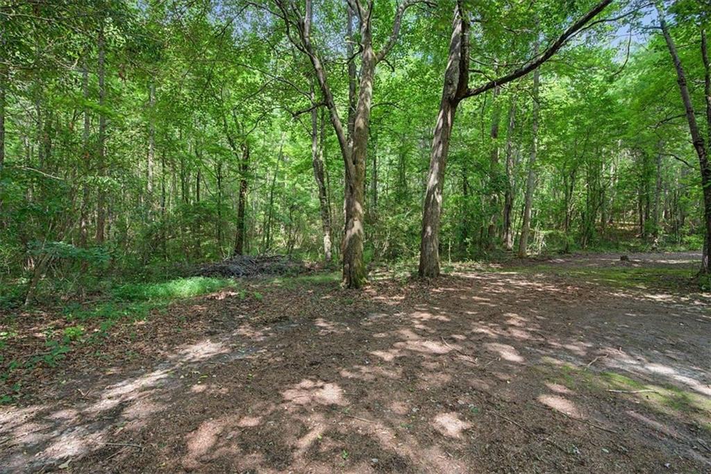994 Rainey Road Temple, GA 30179 - Photo 66 of 73