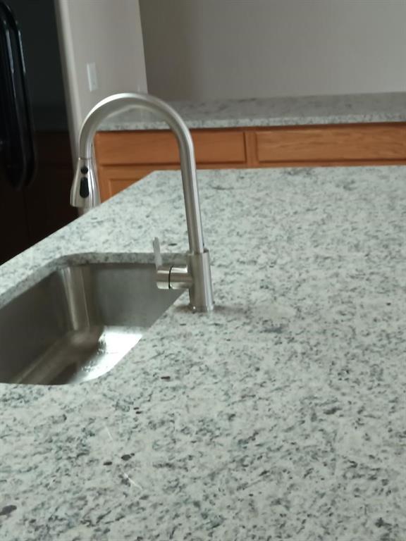 10059 Wake Bridge Drive Frisco, TX 75035 - Photo 6 of 10 a close view of sink