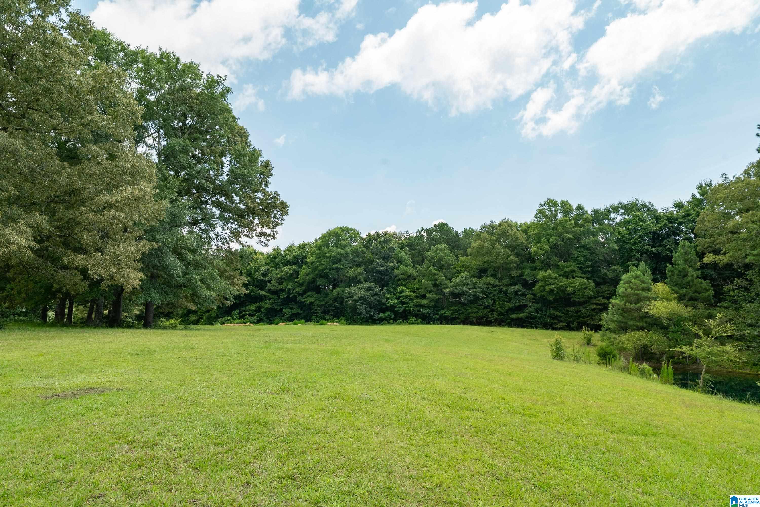 2304 Driving Range Road Cropwell, AL 35054 - Photo 54 of 59
