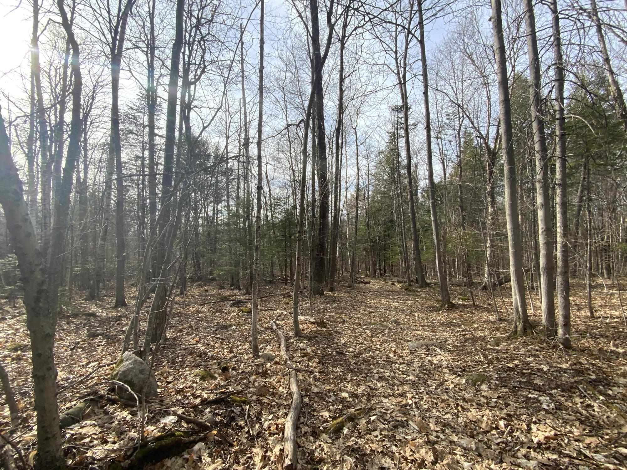 157 Hall Hill Road Rumford, ME 04276 - Photo 13 of 27 D504A2D5-2970-4CDD-A4D2-6DEA34467BB4