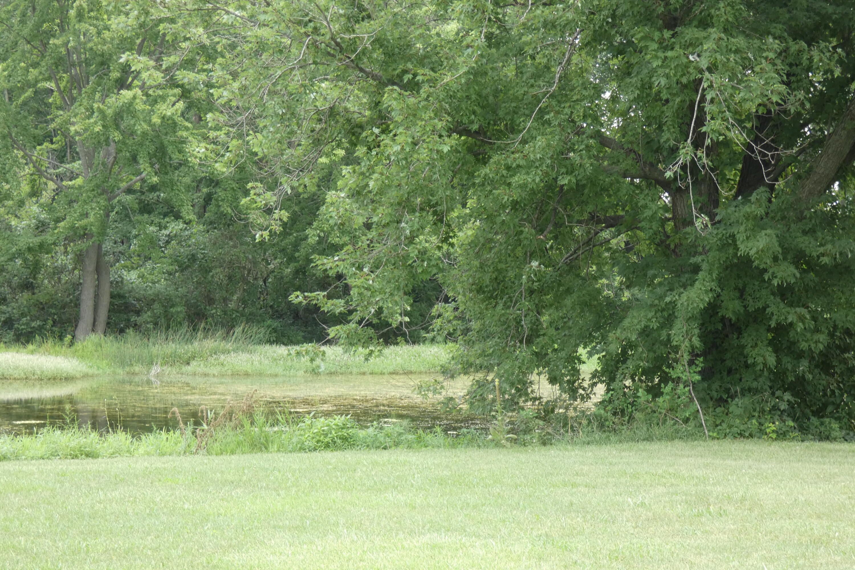 6290 Bailey Road Eau Claire, MI 49111 - Photo 37 of 48 P1010563