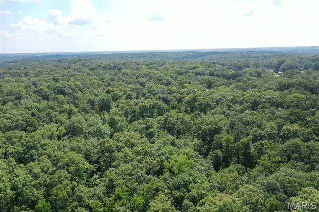 $58,500 | Tbd South Oak, Wappapello, MO 63966